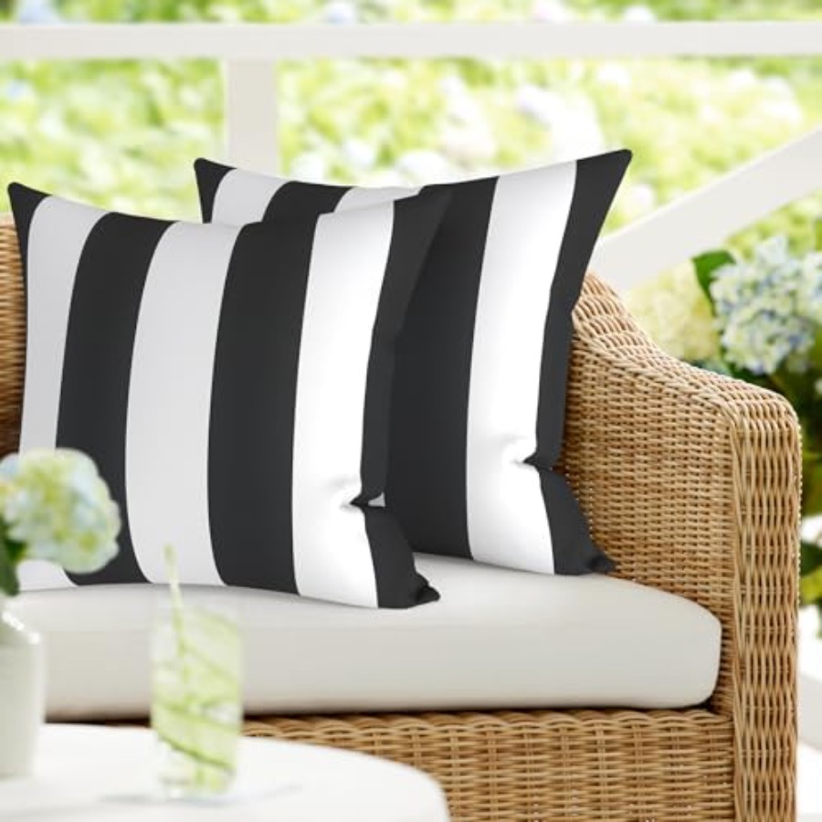 Decorative Throw Pillow - Pack of 2 Waterproof Outdoor Pillow