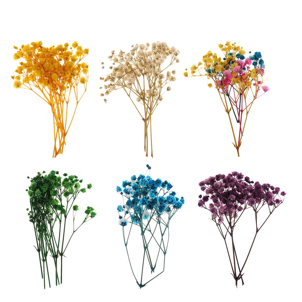 Dried Flower Bouquet - Pressed Dried Natural Flowers and Leaves