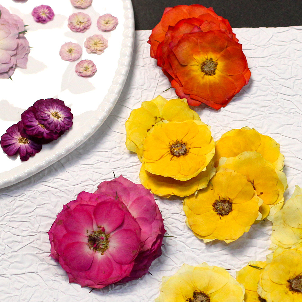 Dried Flower Bouquet - 48 Yellow Mixed-Size Pressed Real Roses