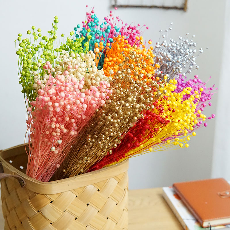 35g/Preserved Ormosia Hosiei N - đánh giá và giá Dried Flower Bouquet