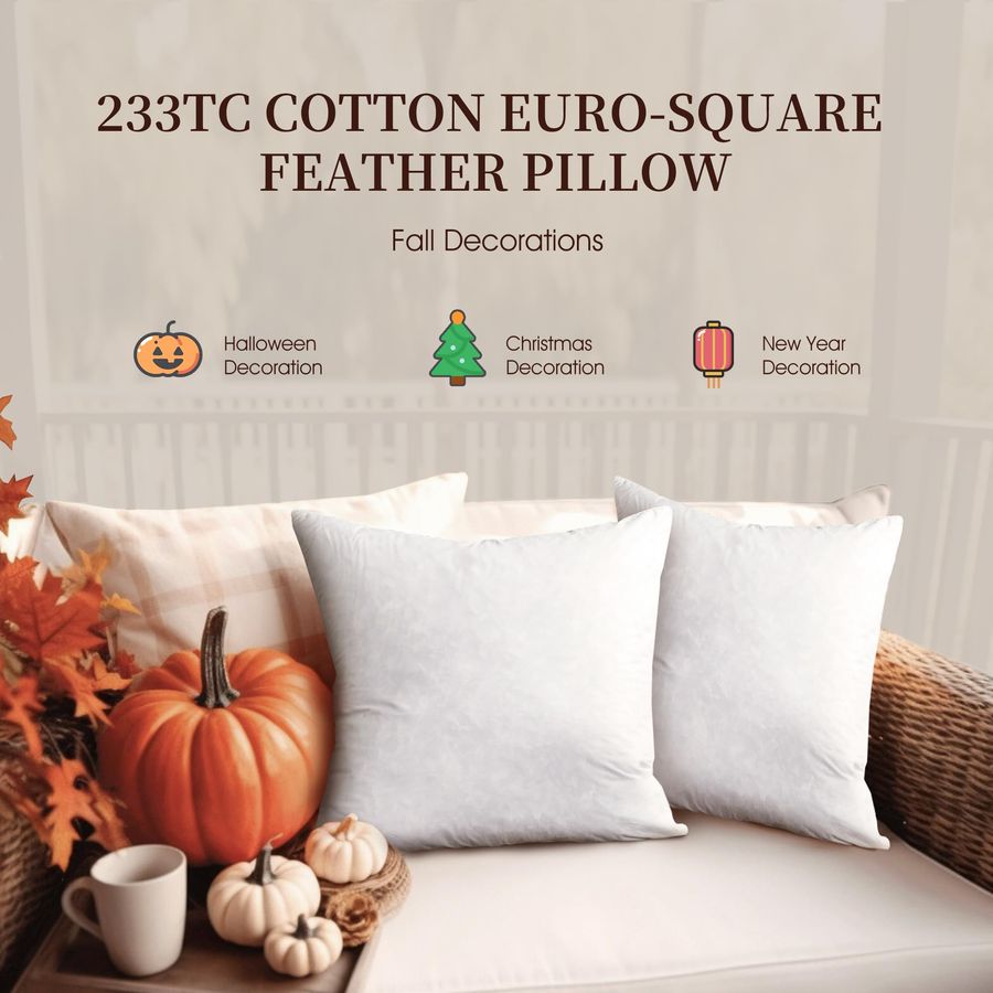 Feather Down Pillow Square Eur - đánh giá và giá Decorative Throw Pillow