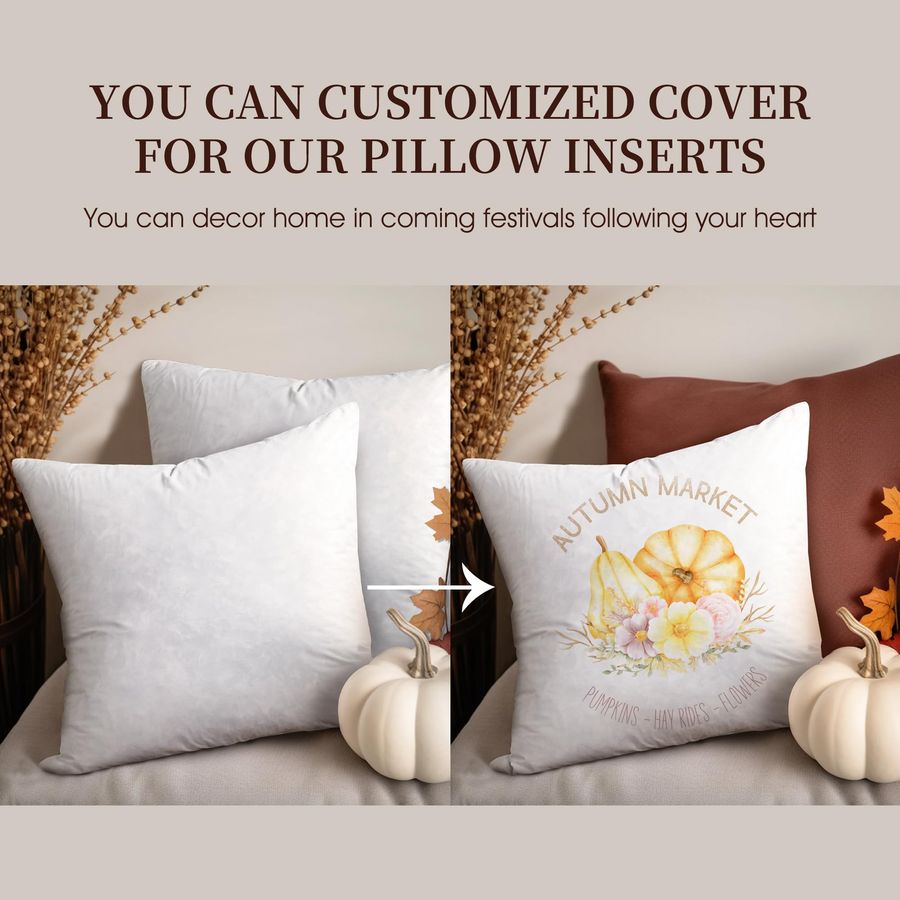 Feather Down Pillow Square Eur - đánh giá và giá Decorative Throw Pillow