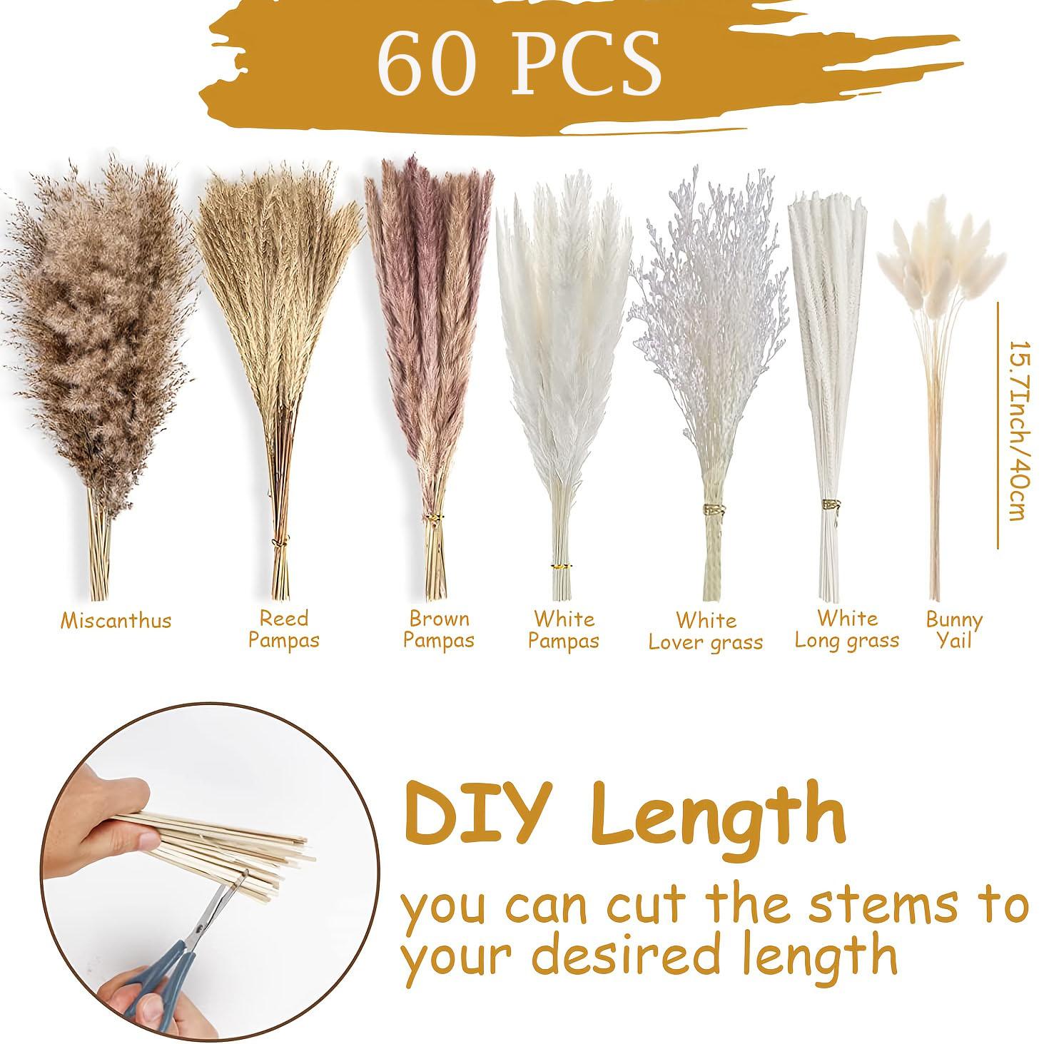 60 Pieces Dried Pampas Grass F - đánh giá và giá Dried Flower Bouquet