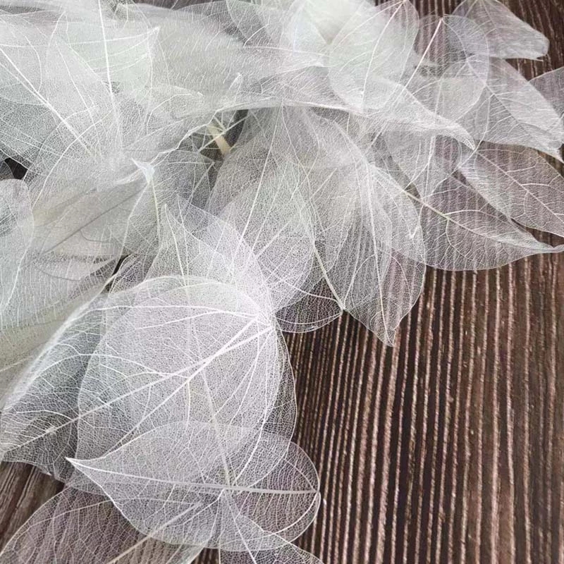 5~9CM*2~3.5CM,100PCS/Set,Real  - đánh giá và giá Dried Flower Bouquet