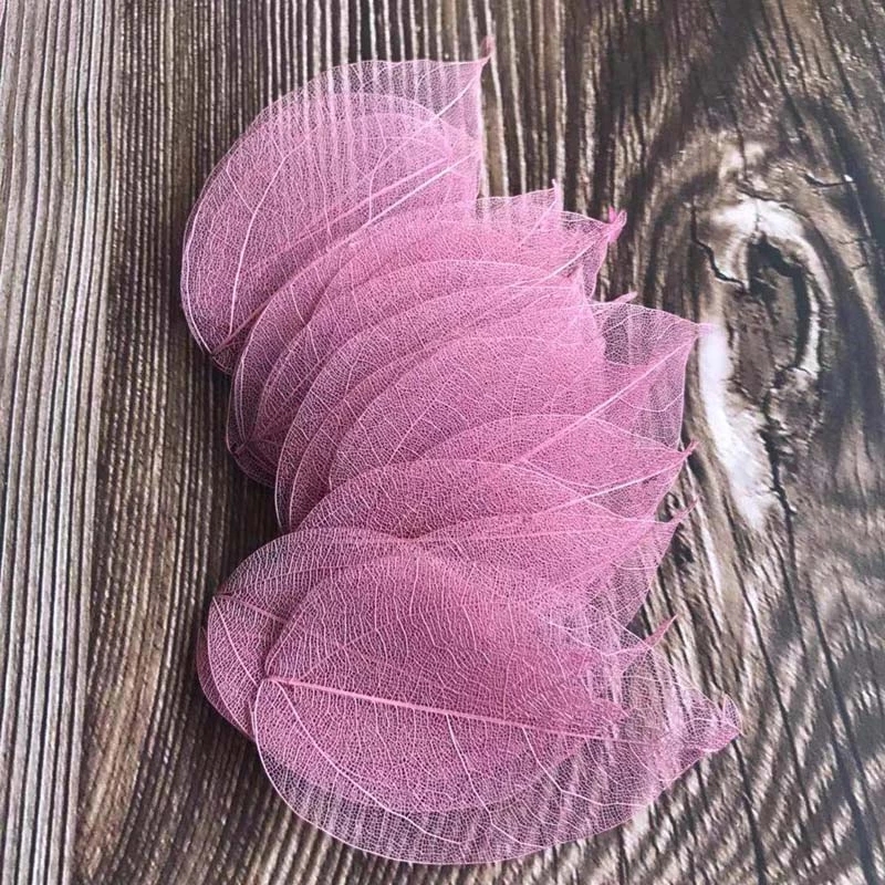 5~9CM*2~3.5CM,100PCS/Set,Real  - đánh giá và giá Dried Flower Bouquet