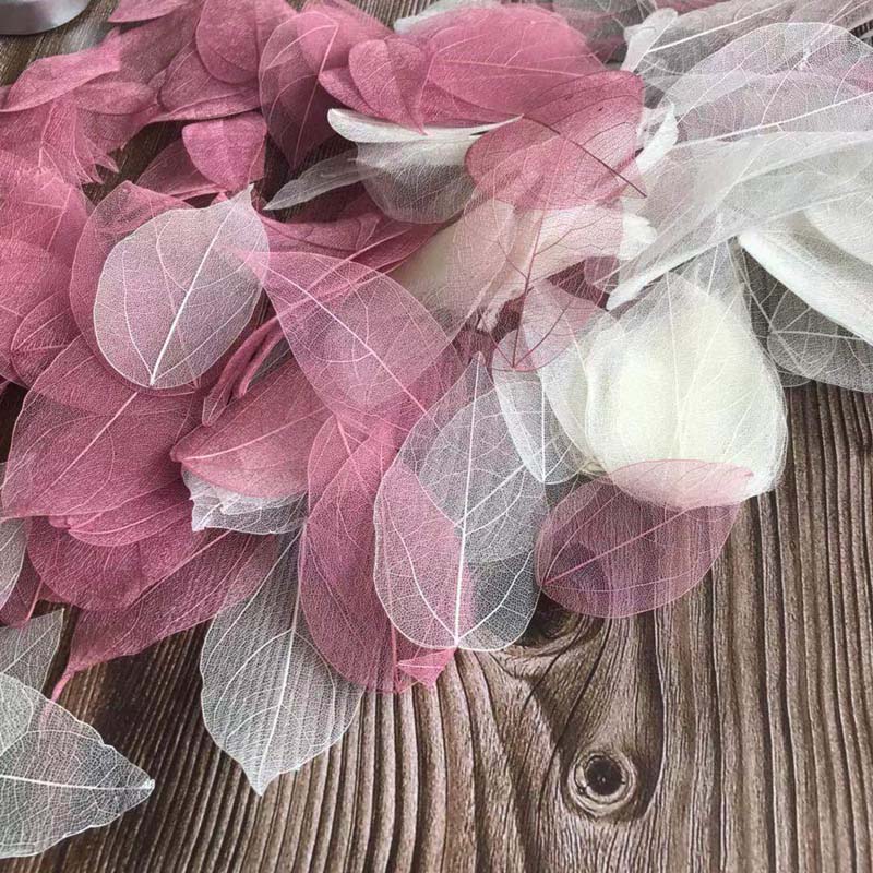 5~9CM*2~3.5CM,100PCS/Set,Real  - đánh giá và giá Dried Flower Bouquet