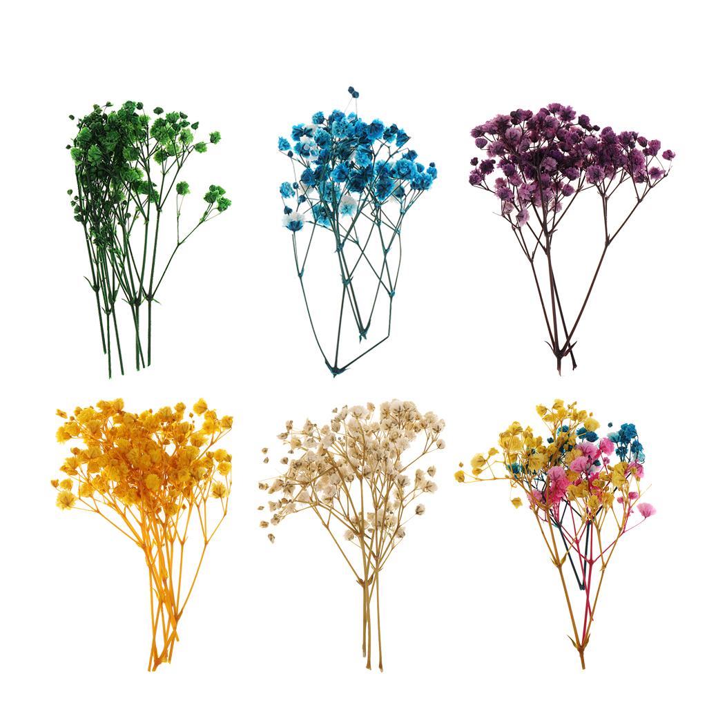 Pressed Dried Natural Flowers  - đánh giá và giá Dried Flower Bouquet