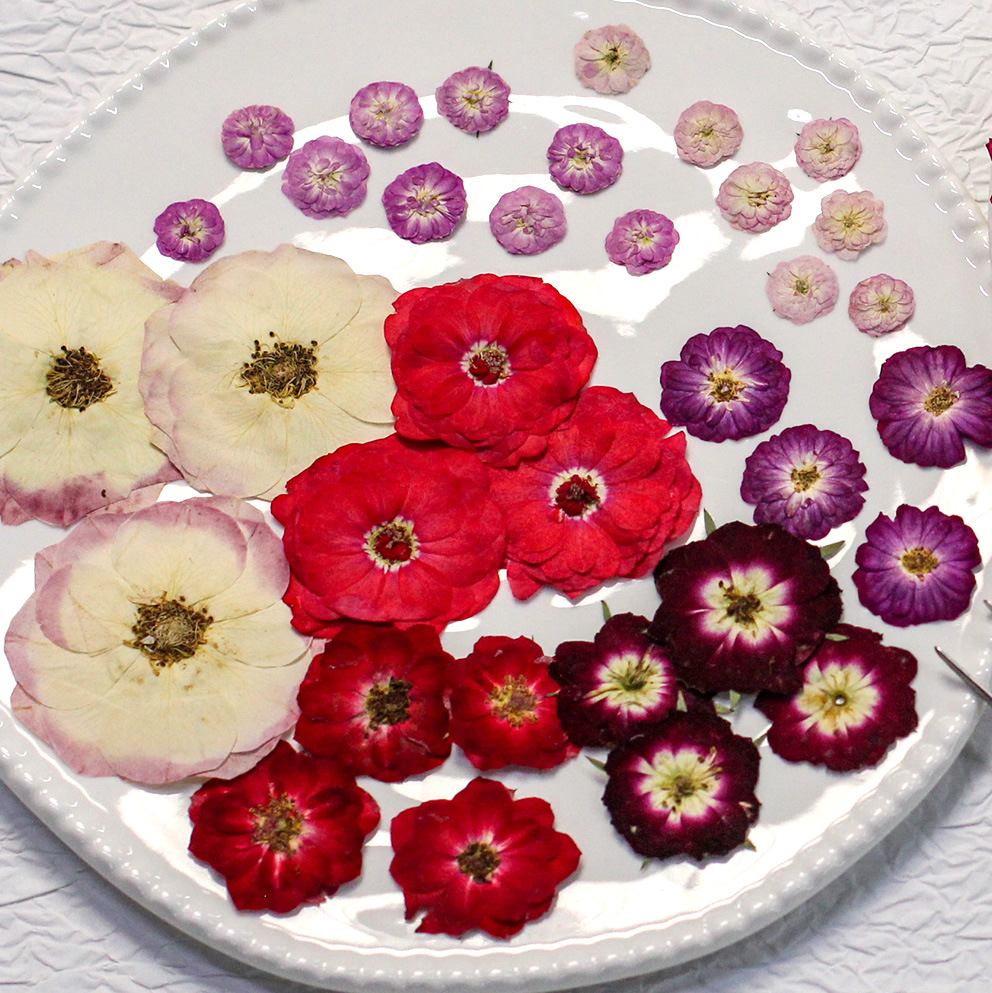 48 Yellow Mixed-Size Pressed R - đánh giá và giá Dried Flower Bouquet