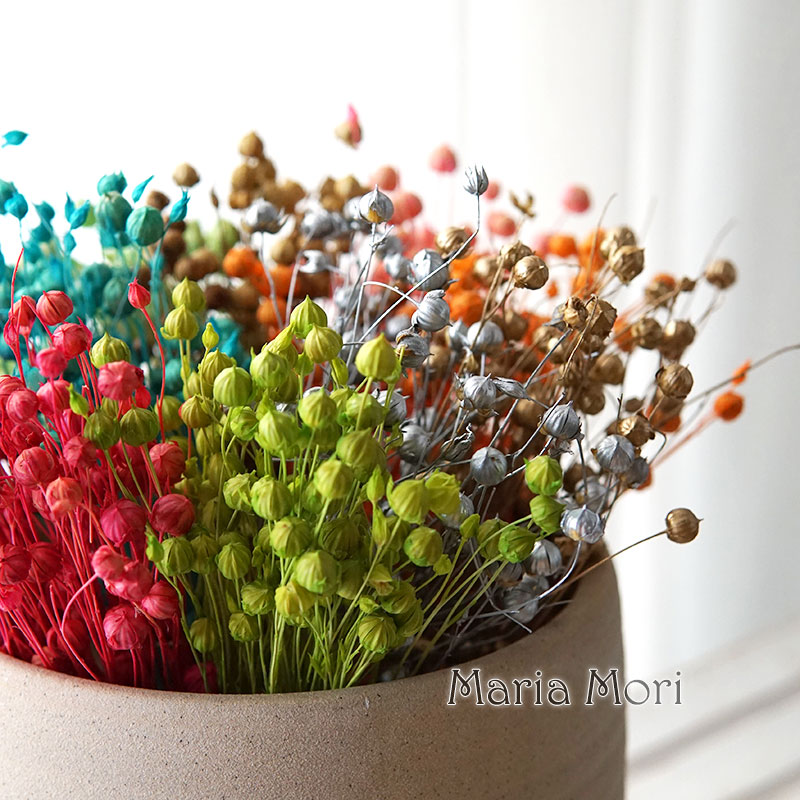 5g Preserved Flax Bean Natural - đánh giá và giá Dried Flower Bouquet