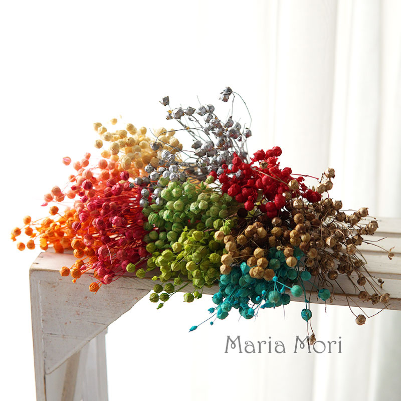 5g Preserved Flax Bean Natural - đánh giá và giá Dried Flower Bouquet