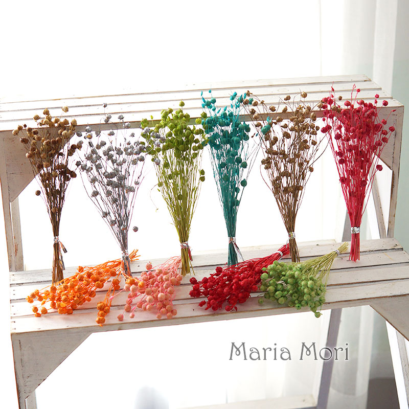 5g Preserved Flax Bean Natural - đánh giá và giá Dried Flower Bouquet