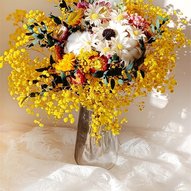 Natural Dried Flower Gypsophil - đánh giá và giá Dried Flower Bouquet
