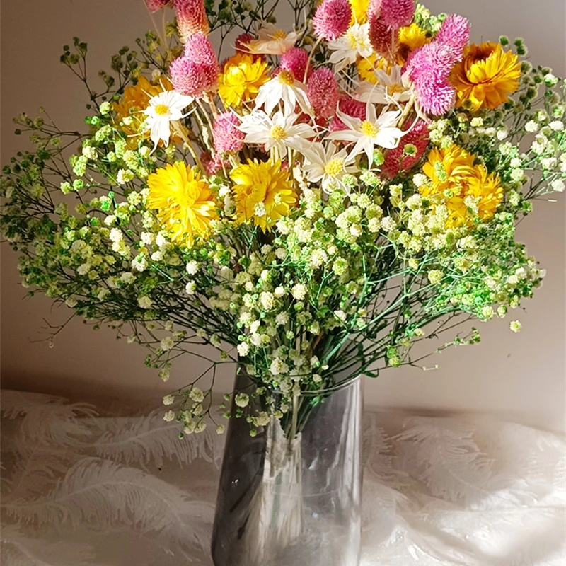 Natural Dried Flower Gypsophil - đánh giá và giá Dried Flower Bouquet