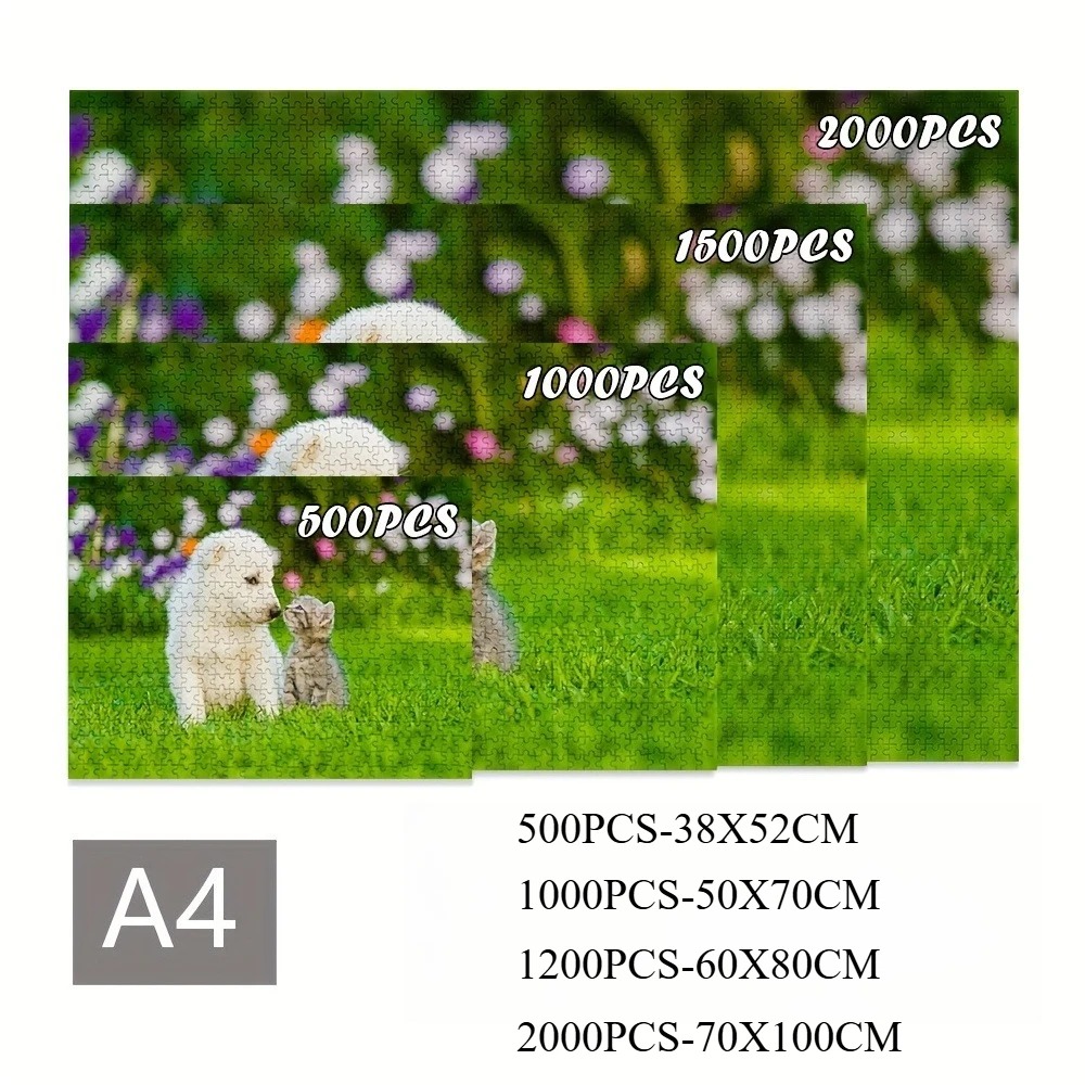 2D Flat 1 Box of 500/1000/1200 - đánh giá và giá Home Decor Under 500