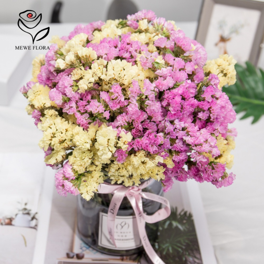 100g Dried Forget Me Not Flowe - đánh giá và giá Dried Flower Bouquet