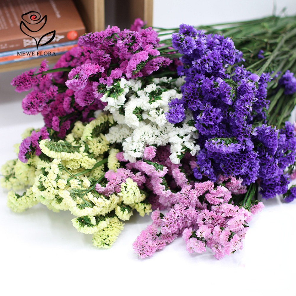 100g Dried Forget Me Not Flowe - đánh giá và giá Dried Flower Bouquet