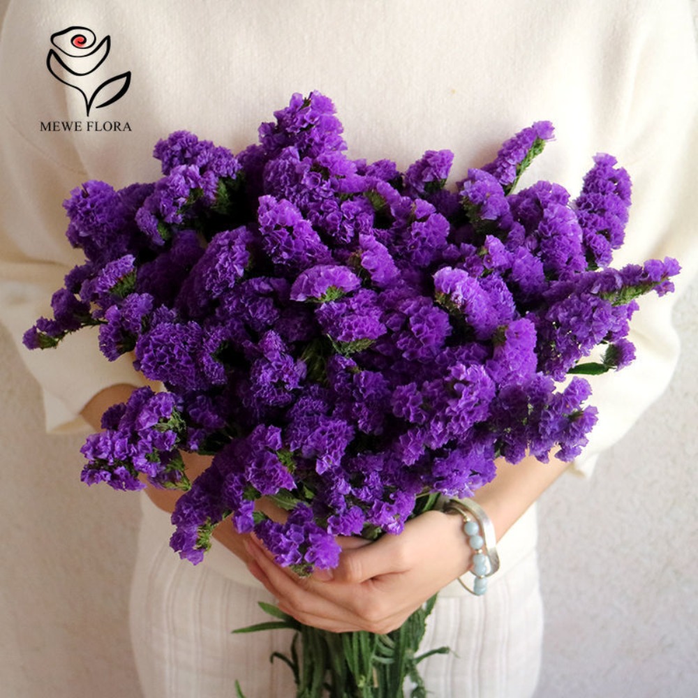 100g Dried Forget Me Not Flowe - đánh giá và giá Dried Flower Bouquet
