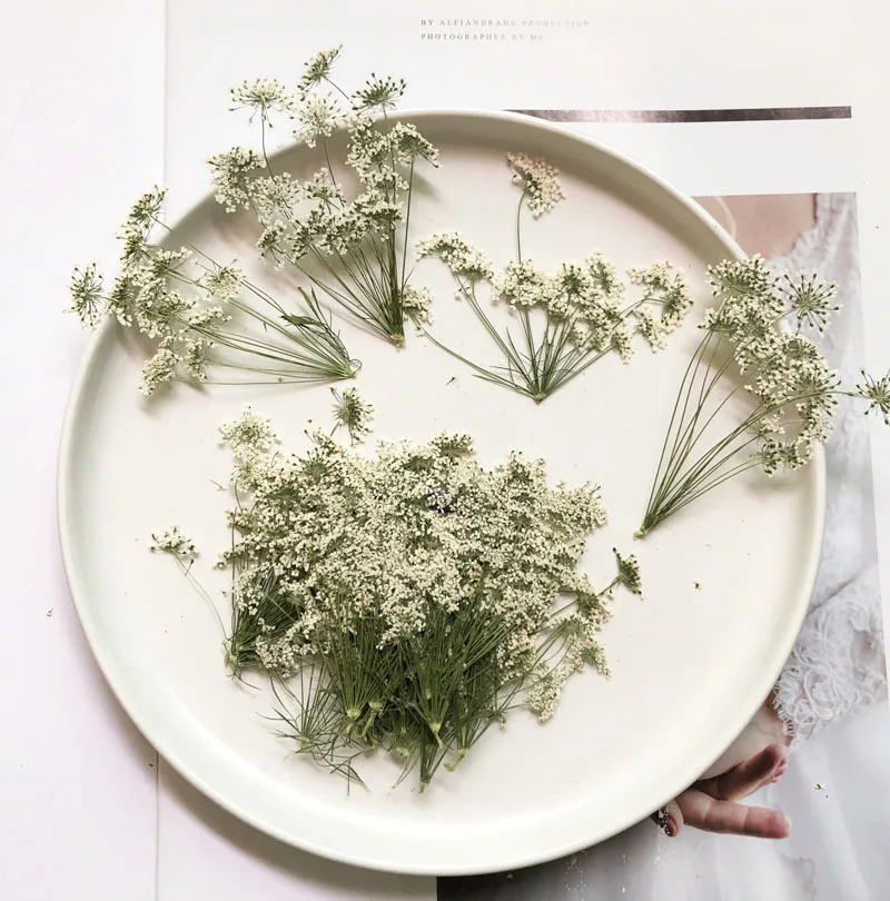 5-7cm/12pcs,Snow Tiny Flowers  - đánh giá và giá Dried Flower Bouquet