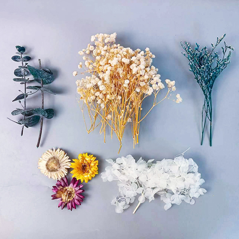 1pack Multifarious Dried Flowe - đánh giá và giá Dried Flower Bouquet