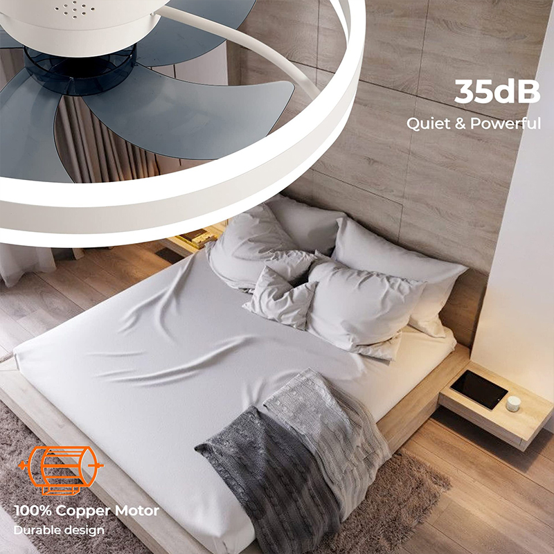 LED Ceiling Light Fan With APP - đánh giá và giá Home Decor App Free